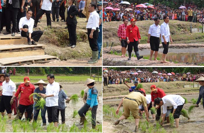 Amran Sulaiman Apresiasi Terobosan Pemkab Badung untuk Pertanian